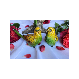 Bird Decorative 1